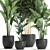 Exotic Indoor Plant Collection in Black Vase 3D model small image 2