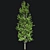 Optimized Lombardy Poplar Tree 3D model small image 2