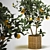 Tangerine Bliss: Mini Mandarin Tree in Woven Planter 3D model small image 1