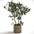 Tangerine Bliss: Mini Mandarin Tree in Woven Planter 3D model small image 7