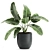 Exotic Plant Collection: Banana Palm & Ravenala 3D model small image 3