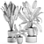 Exotic Plant Collection: Banana Palm & Ravenala 3D model small image 5