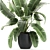 Exotic Indoor Plant Collection 3D model small image 2