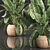 Exotic Plant Collection in Wicker Basket 3D model small image 4