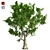 London Plane Tree 3D Model 3D model small image 1