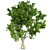 London Plane Tree 3D Model 3D model small image 2