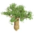 Exquisite Madagascan Baobab Tree 3D model small image 4