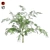 Optimized Quad Mimosa Tree 3D model small image 1