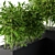 Bamboo Haven: Lush Plant Box 3D model small image 2