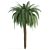  Lush Tropical Palms: Exotic Beauty 3D model small image 3