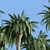  Lush Tropical Palms: Exotic Beauty 3D model small image 5