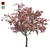 Pristine Blossom: Ultimate Spring Tree 3D model small image 1