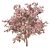 Pristine Blossom: Ultimate Spring Tree 3D model small image 2