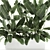 Exotic Indoor Plants in White Vase 3D model small image 3