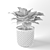 Elegance in a Vase: Hosta Plant 3D model small image 3