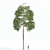 Japanese Red Pine Tree - 2013 Model 3D model small image 1