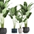 Exotic Plant Collection in Classic Vase 3D model small image 1