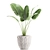 Exotic Plant Collection in Classic Vase 3D model small image 4