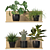 Vertical Plants Collection: Opuntia, Rhipsalis, Monstera, Croton & Fern 3D model small image 1