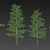 Realistic Birch Trees: Detailed 3D Models 3D model small image 7