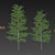 Realistic Birch Trees: Detailed 3D Models 3D model small image 9