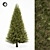 Realistic Pine Tree 6S 3D model small image 1