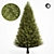 Realistic Pine Tree 6S 3D model small image 2