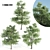 3 Alnus Trees 3D model small image 1