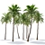 Tropical Twin Palm Trees 3D model small image 2