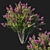 Pink Myrtle Bush: Vibrant Flowering Beauty 3D model small image 1