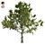 Optimized Red Apple Tree 3D model small image 1