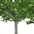 Vibrant Red Maple Tree - High-Quality 3D Model 3D model small image 4