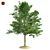 Vibrant Red Maple Tree Crown 3D model small image 1