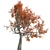 Autumn Oak Tree - Realistic 3D Model 3D model small image 2