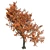 Autumn Oak Tree - Realistic 3D Model 3D model small image 3