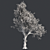 Autumn Oak Tree - Realistic 3D Model 3D model small image 5