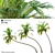 Trio of Majestic Coconut Palms 3D model small image 1