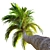 Trio of Majestic Coconut Palms 3D model small image 2