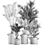 Exotic Plant Collection: Concrete Pot Decor 3D model small image 5