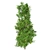 Sourwood Tree: High-Quality 3D Model 3D model small image 3