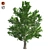 Optimized Maple Tree: Real-Wo 3D model small image 1