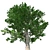 Optimized Maple Tree: Real-Wo 3D model small image 4