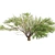 Optimized Quad Umbrella Thorn Tree 3D model small image 2