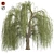 Graceful Weeping Willow Tree 3D model small image 1