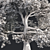 Premium White Oak Tree: Realistic 3D Model 3D model small image 5