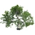 Premium White Oak Tree Corona 3D model small image 2