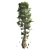 Optimized Quad Textured Bald Cypress Tree 3D model small image 2