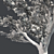 Lebanon Cedar: Realistic 3D Tree 3D model small image 5