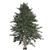 Optimized Blue Spruce Tree 3D model small image 2