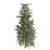 Optimized Blue Spruce Tree 3D model small image 3